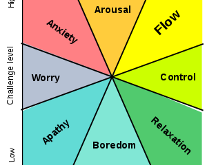 EXPERIENCE FLUCTUATION DIAGRAM